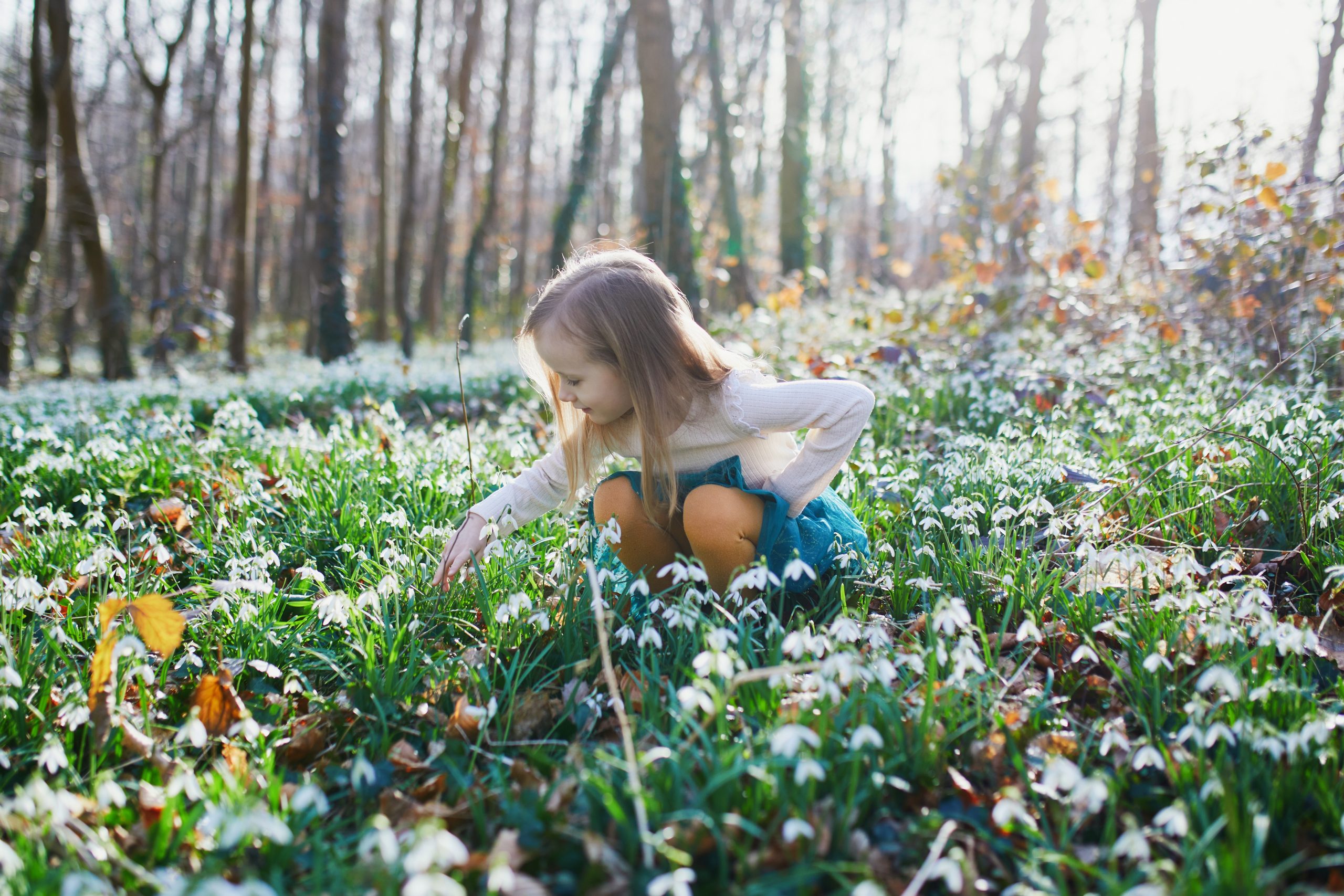 Cum se anunță vremea în prima lună de primăvară. Prognoza ANM actualizată până pe 30 martie