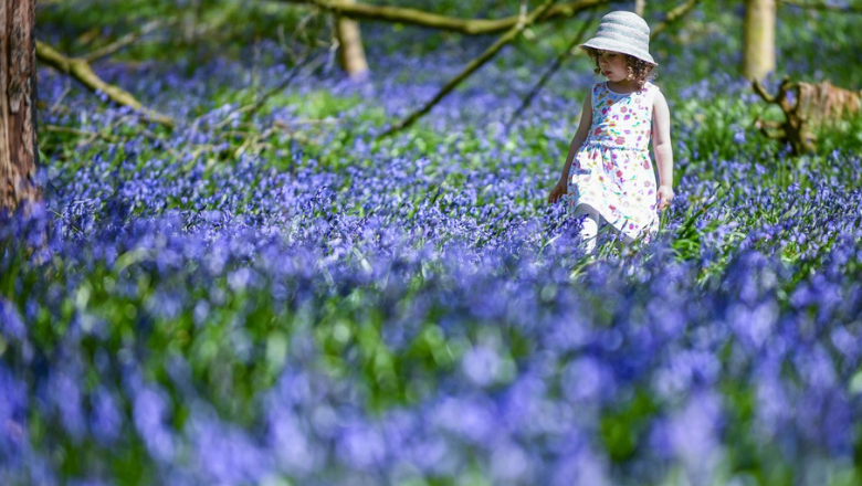 Cum va fi vremea de Florii și Paște. Meteorologii au actualizat prognoza pentru următoarele patru săptămâni
