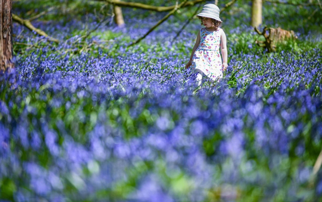 Prognoza meteo pentru următoarele 4 săptămâni: meteorologii anunță vreme mai caldă decât normalul perioadei