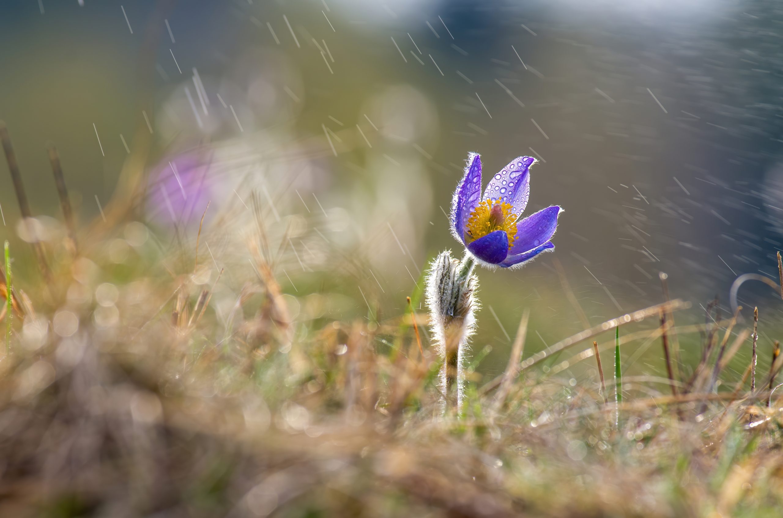Meteorologii anunță vreme schimbătoare în următoarele două săptămâni. Prognoza pe regiuni până pe 19 aprilie