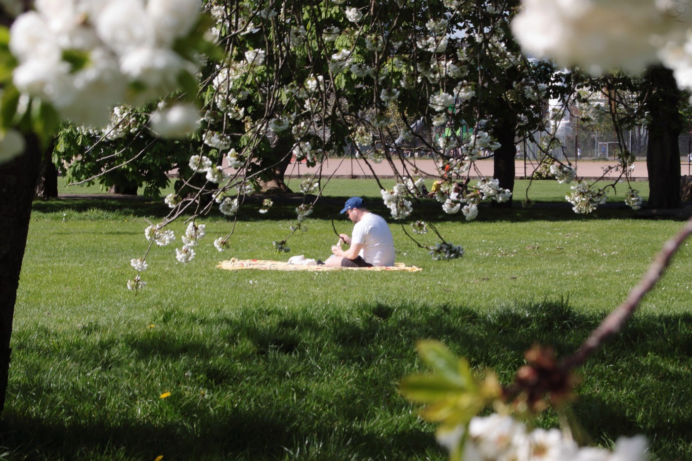 Meteorologii anunță cum va fi vremea în minivacanța de 1 Mai. Estimări pentru următoarele patru săptămâni